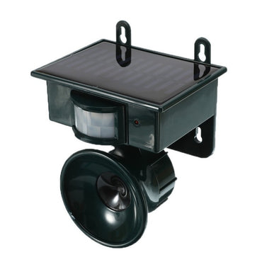 bcf01c22-4163-4d99-ba62-05dfd1f0f50f_1